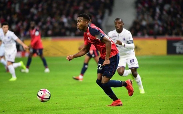 不只是看一 不只是看一